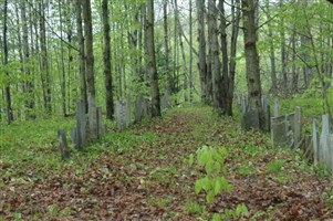 Hill Cemetery
