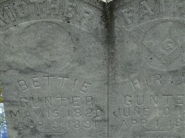 Hiram Gunter