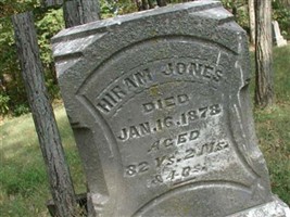 Hiram Jones Hiram Jones