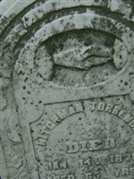 Hitchman Torrence Hitchman Torrence