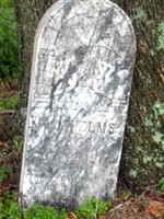 H J Helms