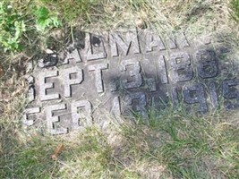 Hjalmar A Folin