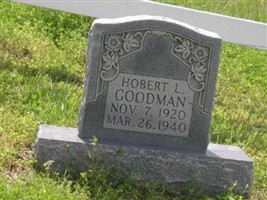 HOBERT L. GOODMAN HOBERT L. GOODMAN