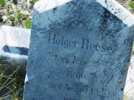 Holger Reese