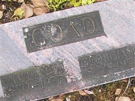 Hollan L Goad
