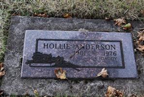 Hollie Anderson