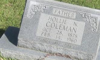 Hollie N. Coleman