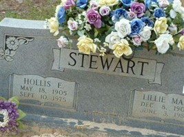 Hollis E Stewart