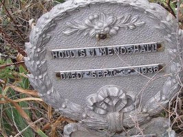 Hollis Ilene Mendenhall