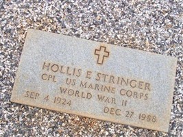 Hollis Stringer