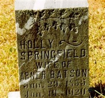 Holly Berry Springfield Batson