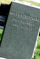 Holly E. Stevens Holly E. Stevens