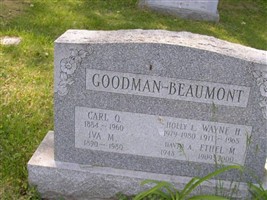 Holly M Beaumont