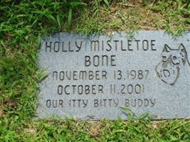 Holly Mistletoe Bone