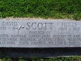 Holly Skinner Scott Holly Skinner Scott