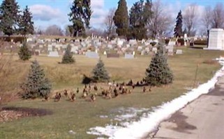 Holy Cross Cemetery