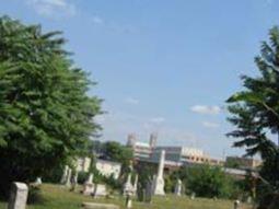 Holy Rood Cemetery