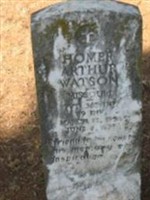 Homer Arthur Watson Homer Arthur Watson