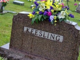 Homer Clayton Keesling