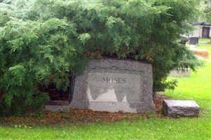 Homer Moses