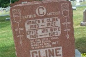 Homer N Cline