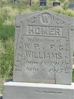 Homer Williams