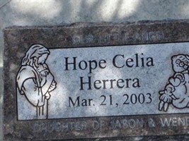 Hope Celia Herrera Hope Celia Herrera