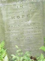 Hope Wood Drew