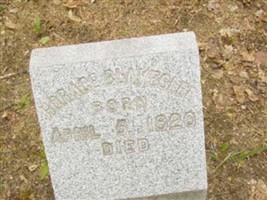 Horace Blakeslee