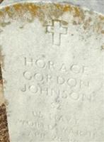 Horace Gordon Johnson (2210009.jpg)