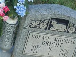 Horace Mitchell Bright