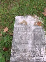 Horace W. Robbins