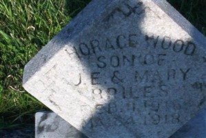 Horace Wood Briles
