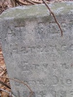 Hortense Johnson Irvin Hortense Johnson Irvin