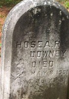 Hosea R Downey