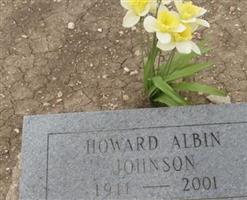 Howard Albin Johnson