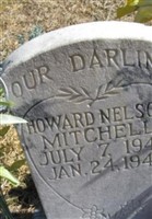 Howard Nelson Mitchell