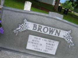 Howard W Brown