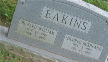 Howard William Eakins