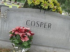 Hoyt Weyman Cosper, Sr Hoyt Weyman Cosper, Sr