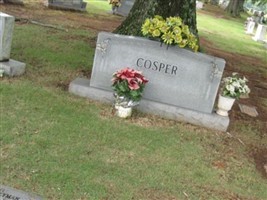 Hoyt Weyman Cosper, Sr Hoyt Weyman Cosper, Sr