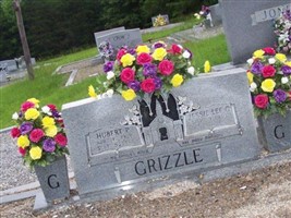 Hubert P Grizzle