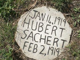 Hubert Salchert