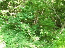 Hudseph Cemetery