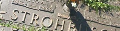 Hugo A Strohbusch Hugo A Strohbusch