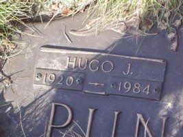 Hugo J. Puntureri