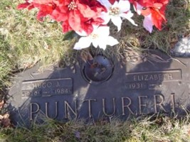 Hugo J. Puntureri