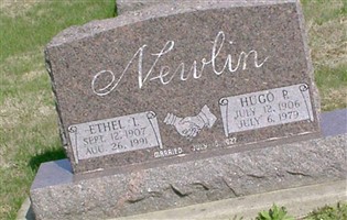 Hugo Peter Newlin