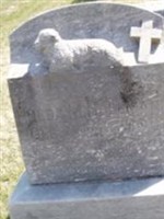 Hulda M Hollman