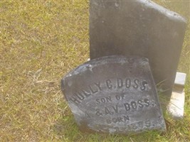 Hully C Doss
